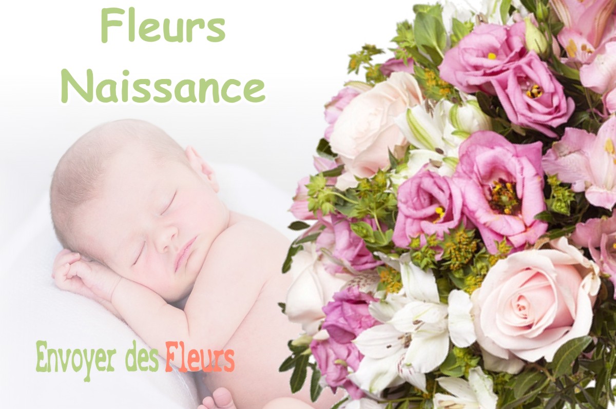 lIVRAISON FLEURS NAISSANCE à SAINT-FIRMIN-SUR-LOIRE